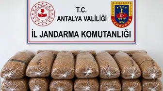 Alanya'da tütün operasyonu: Jandarmadan kaçak ürünlere geçit yok