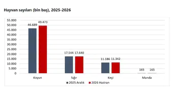 Hayvancılık sektöründe dikkat çeken tablo: Küçükbaş hayvan sayısında büyük yükseliş
