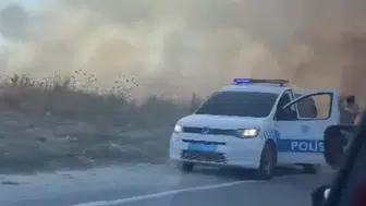 Kapaklı'da korkutan alevler: Rüzgar yangını körükledi