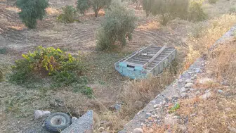 Hasat yolunda korkunç kaza: Fıstık yüklü traktör şarampole uçtu