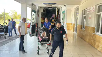 Sivas'ta dehşet anları: Yaylada otlayan hayvanların arasında ayı dehşeti yaşandı