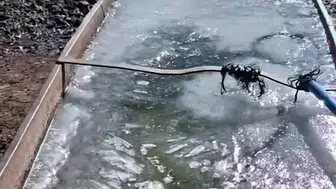 Kars'ta mevsim normallerinin dışındaki soğuklar hayatı dondurdu