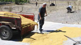 Yozgat'ın köyünde 41 yıllık gelenek: Odun ateşinde yükselen emek