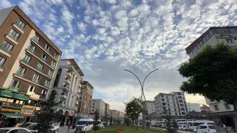 Hakkari semalarında nadir rastlanan doğa olayı: Gökyüzü buğday taneleriyle kaplandı