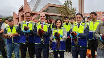 Samsun'un yeşil kampüsünde kanat çırpan özgürlük: 200 sülün doğaya bırakıldı