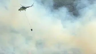 Çine ormanlarında korkutan alevler: Ekipler seferber oldu