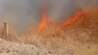 Ereğli'de korku dolu anlar: Birbiri ardına çıkan yangınlar ekipleri alarma geçirdi