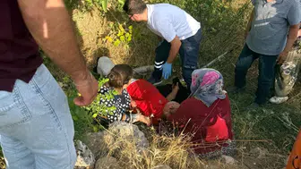 Hasat vakti kabusa döndü: Ceviz ağacından düşen vatandaş hastanelik oldu