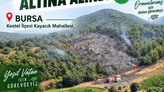 Kestel'de bir anız ateşi ormanı küle çeviriyordu
