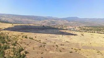 Bolu'da ormanlık alanda korku dolu anlar: Alevler köye ulaşmadan durduruldu
