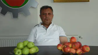 Niğde'nin bereketli bahçelerinde hasat heyecanı: 12 ülkeye uzanan lezzet yolculuğu