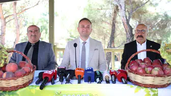 Çivril'de tarım alarm veriyor: Ağaçlar sökülüyor, üretici emeğinin karşılığını bulamıyor