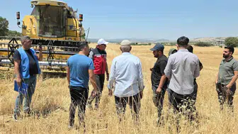 Dicleli çiftçilere büyük destek: Mercimek üretiminde dev hibe dönemi başlıyor
