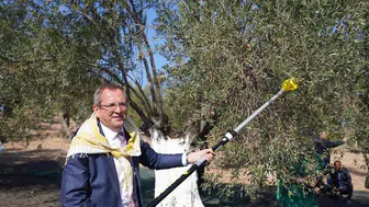 Ayvalık'ta Cumhuriyet coşkusu zeytin hasadıyla birleşiyor: 21. festival için geri sayım başladı
