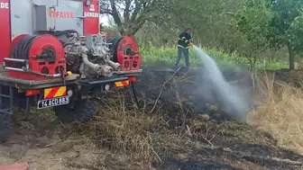 Küçük bir kanat çırpışı büyük bir felaketi tetikledi: Köyde korku dolu anlar