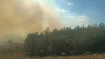Gerede'de korkutan anız yangını ormanlık alana sıçradı