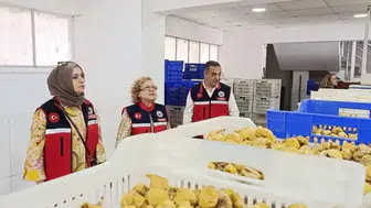 Dünya sofralarının vazgeçilmezi Aydın incirinde tavizsiz denetim dönemi