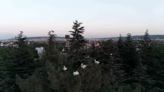 Eskişehir semalarında beklenmedik misafirler: Göç yolculuğunda dron ile görüntülendiler