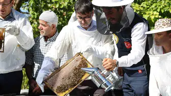 Bursa'nın altın sarısı bereketi Keles'te toplandı: Kovan desteği meyvelerini verdi