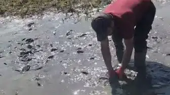 Nehil Sazlığı'nda yaşam mücadelesi: Çamurdan kurtarılan balıklar için seferberlik