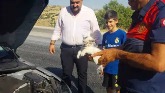 Motor kaputundan gelen ses herkesi harekete geçirdi: Minik can kurtarıldı