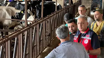 Hatay hayvancılığında yeni dönem: Hastalıktan ari işletmeler için kritik hamle