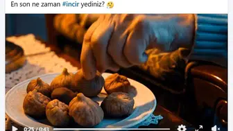 Aydın'ın inciri ekranlarda devleşti: Milyonların kalbine dokunan o tanıtım