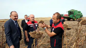 Edirne'de ayçiçeği tarlalarında kuraklığa karşı bilimsel seferberlik: Hasat sonuçları umut veriyor
