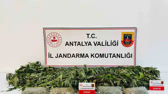 Alanya'da Jandarmadan Uyuşturucuya Geçit Yok: Evde 24 Kök Kenevir ve 2 Kilo 642 Gram Esrar Yakalandı