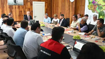Denizli bağlarında hasat öncesi kritik zirve: Üreticinin gözü kulağı bu kararlarda
