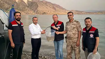 Mardin'in sularında devasa hareketlilik: 1 milyon yeni misafir baraj gölüne bırakıldı