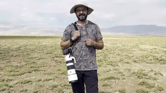 Sarp kayalıkların gizli sakinleri: Divriği'nin yaban hayatı objektiflere yansıdı
