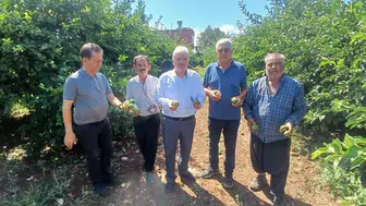 Adana'da gece yarısı kabusu: 35 bin dönümlük tarım arazisi bir anda yok oldu