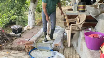 Modern fabrikalara inat asırlık gelenek: Karacasu'da pekmez mesaisi başladı