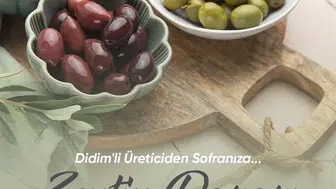 Didim'de zeytin üreticisi için yeni dönem: Aracısız satış başlıyor