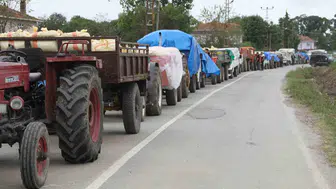 Fındık üreticisine kritik uyarı: Emeğinizin boşa gitmemesi için bu detaya dikkat edin
