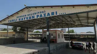 Burdur'da şap alarmı: Hayvan pazarı kapılarını süresiz olarak kilitledi