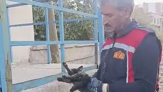 İpekyolu Caddesi'nde iki saatlik nefes kesen kurtarma operasyonu
