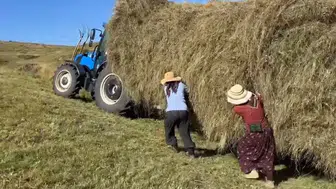 Ardahan'da kışın ayak sesleri duyulurken tarlalarda zamanla yarış başladı