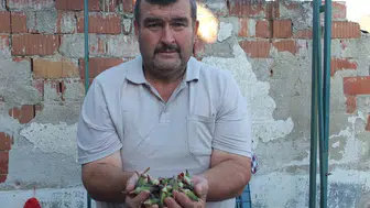 Burhaniye'de bamya bereketi: Kınalı türü pazarda kapış kapış gidiyor