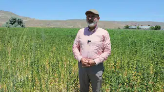 Kocasinan'da Toprağın Bereketi Sofralara Umut Oluyor: Belediye Kendi Ürettiği Yağı İhtiyaç Sahiplerine Dağıtıyor