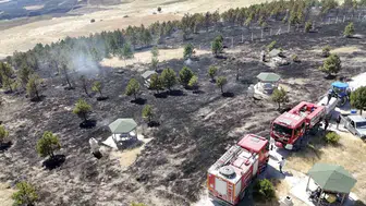 Çorum'da alevler tarlalardan ormana sıçradı: 800 dönümlük alan küle döndü