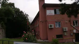 Zonguldak'ta intiharla mücadelede ezber bozan uyarı: İyileşme belirtileri yanıltıcı olabilir