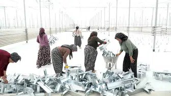 Afyonkarahisarlı kadınlar kendi geleceklerini inşa ediyor: Sera kurulumunda bizzat çalışıyorlar