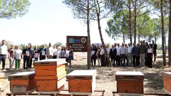 Kocaeli'de Arıcılıkta Uzmanlık Dönemi: 20 Üretici Sertifikasını Aldı
