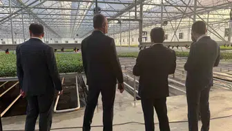 Bafra sanayisinde büyük yükseliş: Yatırımcıların gözdesi oldu