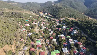 Çukurova'nın Kavurucu Sıcağından Kaçış: Şifa Dağıtan Almanpınarı Yaylası