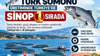 Karadeniz'in soğuk sularından dünya sofralarına: Sinop somon üretiminde zirveyi bırakmıyor