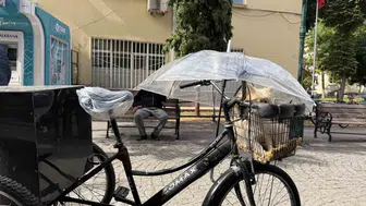 Eskişehir sokaklarında duygulandıran şemsiyeli koruma