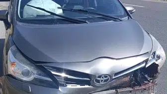 Sivrihisar yolunda beklenmedik engel: Otomobilin çarptığı koyun telef oldu
